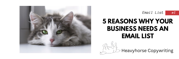 A long haired cat with green eyes with the text "Email List #1 5 Reasons Why Your Business Needs an Email List, Heavyhorse Copywriting".