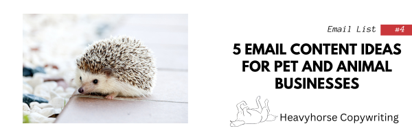 5 Email Content Ideas for Pet and Animal Businesses by Heavyhorse Copywriting, email list #4 with a hedgehog on a walkway beside a stone garden.